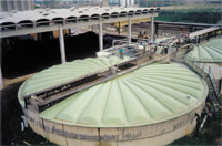 cliccare per ingrandire l'immagine